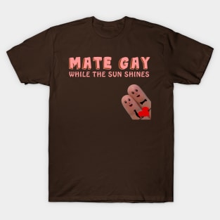 Mate Gay While The Sun Shines Tee T-Shirt